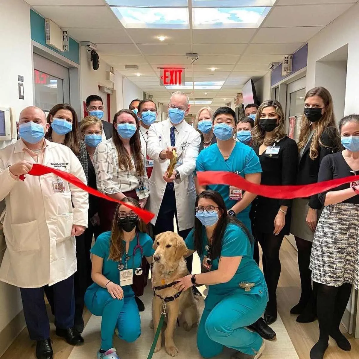 Pediatric Cardiac Icu